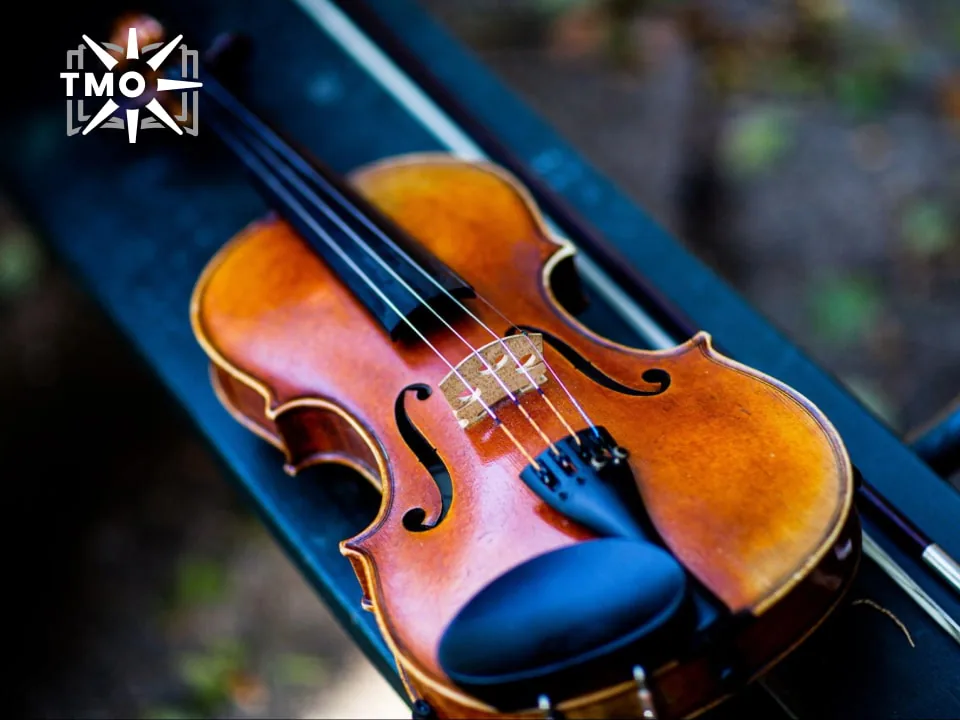 dan-violin-bao-gom-da-dang-cac-bo-phan