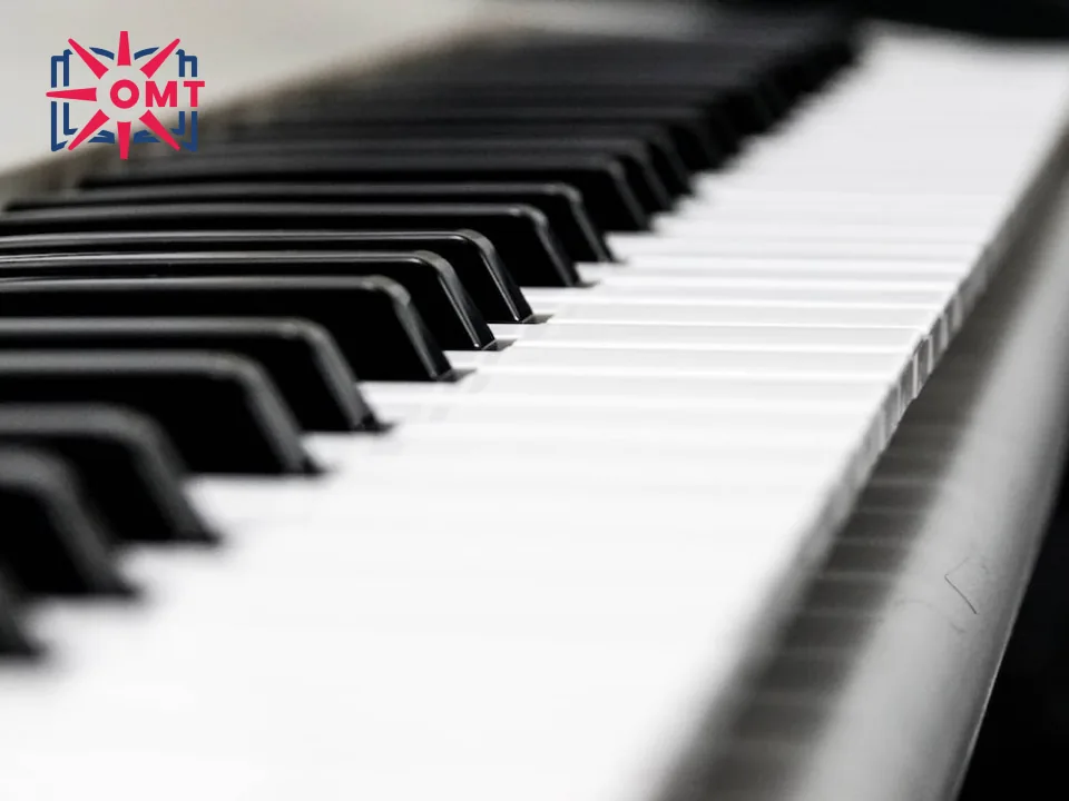organ-la-mot-nhac-cu-da-nang-va-pho-bien